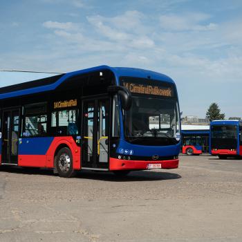 A 14-es és 14P viszonylatok járatainak újraindítása
